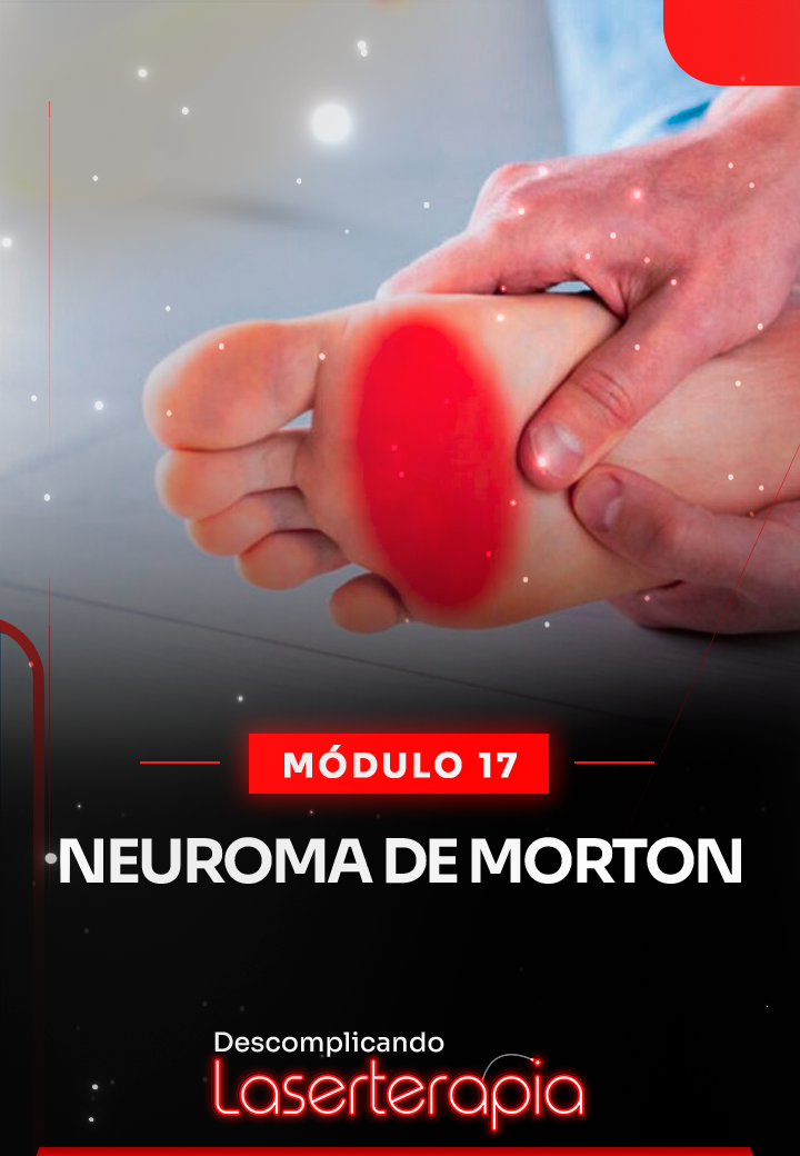 Módulo 17